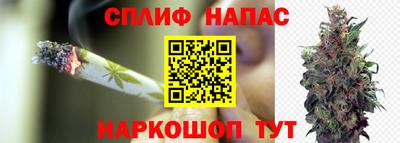 тгк Донской